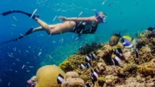 Snorkelen op Tenerife: de beste plekken